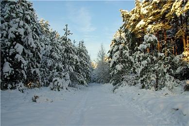 《女神异闻录4U2》重制版多种模式新情报 玩法多样